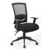 Black Fabric Adjustable Arms Executive Ergonomic Multi-Function Mesh Back Chair by BOSS Office Products 2 Black Fabric Adjustable Arms Executive Ergonomic Multi-Function Mesh Back Chair by BOSS Office Products -Default Template 6 black boss office products ergonomic chairs b6716 bk 64 1000