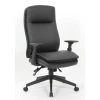 BOSS Office Black High Back Caresoft Upholstery Ergonomic Executive Chair Adjustable Arms by BOSS Office Products 1 BOSS Office Black High Back Caresoft Upholstery Ergonomic Executive Chair Adjustable Arms by BOSS Office Products -Default Template 6 black boss office products executive chairs b730 bk 64 1000