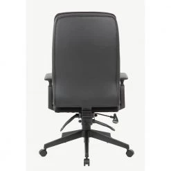BOSS Office Black High Back Caresoft Upholstery Ergonomic Executive Chair Adjustable Arms by BOSS Office Products -Default Template 6 black boss office products executive chairs b730 bk 66 1000